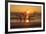 USA, Georgia. Jekyll Island, Driftwood Beach at sunrise.-Joanne Wells-Framed Photographic Print