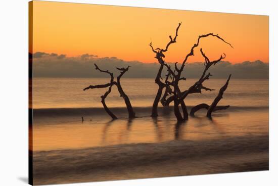 USA, Georgia. Jekyll Island, Driftwood Beach at sunrise.-Joanne Wells-Stretched Canvas