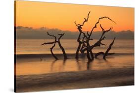 USA, Georgia. Jekyll Island, Driftwood Beach at sunrise.-Joanne Wells-Stretched Canvas