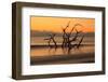 USA, Georgia. Jekyll Island, Driftwood Beach at sunrise.-Joanne Wells-Framed Photographic Print