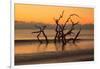 USA, Georgia. Jekyll Island, Driftwood Beach at sunrise.-Joanne Wells-Framed Photographic Print