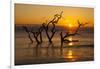 USA, Georgia. Jekyll Island, Driftwood Beach at sunrise.-Joanne Wells-Framed Photographic Print