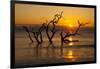 USA, Georgia. Jekyll Island, Driftwood Beach at sunrise.-Joanne Wells-Framed Photographic Print