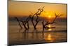 USA, Georgia. Jekyll Island, Driftwood Beach at sunrise.-Joanne Wells-Mounted Photographic Print
