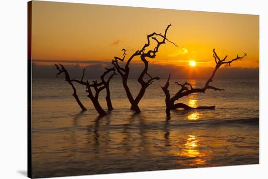 USA, Georgia. Jekyll Island, Driftwood Beach at sunrise.-Joanne Wells-Stretched Canvas