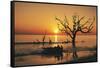 USA, Georgia, Jekyll Island, Sunrise on Driftwood Beach of petrified trees-Hollice Looney-Framed Stretched Canvas