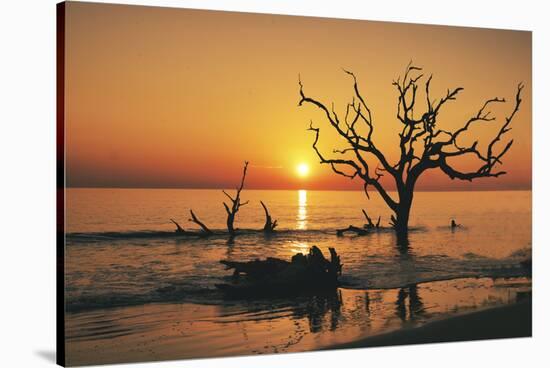 USA, Georgia, Jekyll Island, Sunrise on Driftwood Beach of petrified trees-Hollice Looney-Stretched Canvas