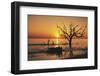 USA, Georgia, Jekyll Island, Sunrise on Driftwood Beach of petrified trees-Hollice Looney-Framed Photographic Print