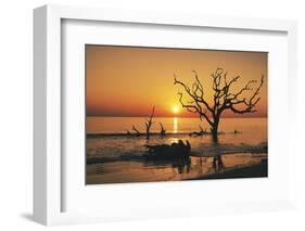 USA, Georgia, Jekyll Island, Sunrise on Driftwood Beach of petrified trees-Hollice Looney-Framed Photographic Print