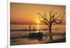 USA, Georgia, Jekyll Island, Sunrise on Driftwood Beach of petrified trees-Hollice Looney-Framed Photographic Print