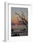 USA, Georgia, Jekyll Island, Sunrise on Driftwood Beach of petrified trees-Hollice Looney-Framed Photographic Print