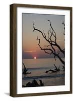 USA, Georgia, Jekyll Island, Sunrise on Driftwood Beach of petrified trees-Hollice Looney-Framed Photographic Print