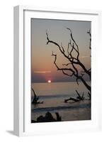 USA, Georgia, Jekyll Island, Sunrise on Driftwood Beach of petrified trees-Hollice Looney-Framed Photographic Print