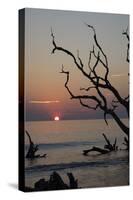 USA, Georgia, Jekyll Island, Sunrise on Driftwood Beach of petrified trees-Hollice Looney-Stretched Canvas