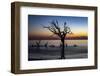 USA, Georgia, Jekyll Island, Sunrise on Driftwood Beach of petrified trees-Hollice Looney-Framed Photographic Print