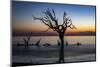 USA, Georgia, Jekyll Island, Sunrise on Driftwood Beach of petrified trees-Hollice Looney-Mounted Photographic Print