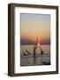 USA, Georgia, Jekyll Island, Sunrise on Driftwood Beach of petrified trees-Hollice Looney-Framed Photographic Print