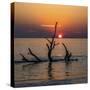 USA, Georgia, Jekyll Island, Sunrise on Driftwood Beach of petrified trees-Hollice Looney-Stretched Canvas