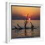 USA, Georgia, Jekyll Island, Sunrise on Driftwood Beach of petrified trees-Hollice Looney-Framed Photographic Print