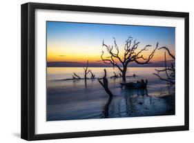 USA, Georgia, Jekyll Island, Sunrise on Driftwood Beach of petrified trees-Hollice Looney-Framed Photographic Print