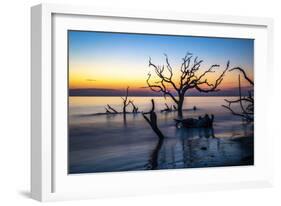 USA, Georgia, Jekyll Island, Sunrise on Driftwood Beach of petrified trees-Hollice Looney-Framed Photographic Print