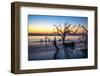 USA, Georgia, Jekyll Island, Sunrise on Driftwood Beach of petrified trees-Hollice Looney-Framed Photographic Print