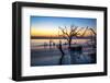 USA, Georgia, Jekyll Island, Sunrise on Driftwood Beach of petrified trees-Hollice Looney-Framed Photographic Print