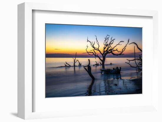 USA, Georgia, Jekyll Island, Sunrise on Driftwood Beach of petrified trees-Hollice Looney-Framed Photographic Print