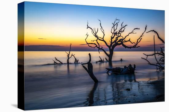 USA, Georgia, Jekyll Island, Sunrise on Driftwood Beach of petrified trees-Hollice Looney-Stretched Canvas