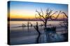 USA, Georgia, Jekyll Island, Sunrise on Driftwood Beach of petrified trees-Hollice Looney-Stretched Canvas