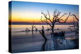 USA, Georgia, Jekyll Island, Sunrise on Driftwood Beach of petrified trees-Hollice Looney-Stretched Canvas