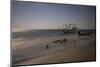 USA, Georgia, Jekyll Island, Sunset at Driftwood Beach and the petrified trees-Hollice Looney-Mounted Photographic Print