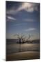 USA, Georgia, Jekyll Island, Sunset at Driftwood Beach and the petrified trees-Hollice Looney-Mounted Photographic Print