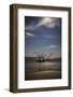 USA, Georgia, Jekyll Island, Sunset at Driftwood Beach and the petrified trees-Hollice Looney-Framed Photographic Print