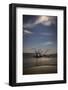 USA, Georgia, Jekyll Island, Sunset at Driftwood Beach and the petrified trees-Hollice Looney-Framed Photographic Print