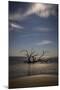 USA, Georgia, Jekyll Island, Sunset at Driftwood Beach and the petrified trees-Hollice Looney-Mounted Photographic Print