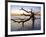 USA, Georgia. Jekyll Island, tree, ocean-George Theodore-Framed Photographic Print