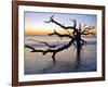 USA, Georgia. Jekyll Island, tree, ocean-George Theodore-Framed Photographic Print