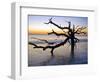 USA, Georgia. Jekyll Island, tree, ocean-George Theodore-Framed Photographic Print