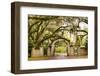 USA, Georgia, Savanah, Gateway and tree lined drive way at the Wormsloe Plantation-Jordan Banks-Framed Photographic Print