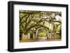 USA, Georgia, Savanah, Gateway and tree lined drive way at the Wormsloe Plantation-Jordan Banks-Framed Photographic Print