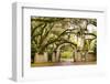 USA, Georgia, Savanah, Gateway and tree lined drive way at the Wormsloe Plantation-Jordan Banks-Framed Photographic Print