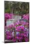 USA, Georgia, Savannah, Azaleas and Wisteria at Bonaventure Cemetery-Joanne Wells-Mounted Photographic Print