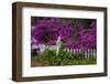 USA, Georgia, Savannah, Azaleas at Historic Isle of Hope-Joanne Wells-Framed Photographic Print