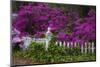 USA, Georgia, Savannah, Azaleas at Historic Isle of Hope-Joanne Wells-Mounted Photographic Print