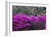 USA, Georgia, Savannah, Azaleas Blooming in Bonaventure Cemetery-Joanne Wells-Framed Photographic Print