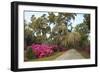 USA, Georgia, Savannah. Azaleas in bloom along drive at Bonaventure Cemetery.-Joanne Wells-Framed Photographic Print