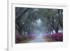 USA, Georgia, Savannah. Azaleas in bloom along foggy drive at Bonaventure Cemetery.-Joanne Wells-Framed Photographic Print