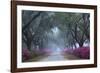 USA, Georgia, Savannah. Azaleas in bloom along foggy drive at Bonaventure Cemetery.-Joanne Wells-Framed Photographic Print