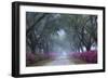 USA, Georgia, Savannah. Azaleas in bloom along foggy drive at Bonaventure Cemetery.-Joanne Wells-Framed Photographic Print